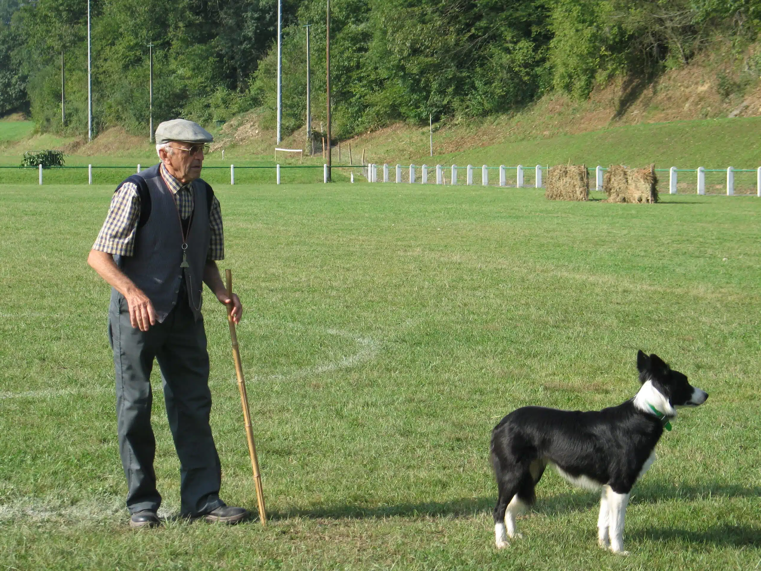 BERGERS 2007 (23)